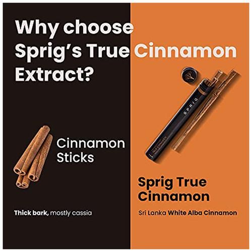 Sprig True Cinnamon - Sri Lankan - Image 2