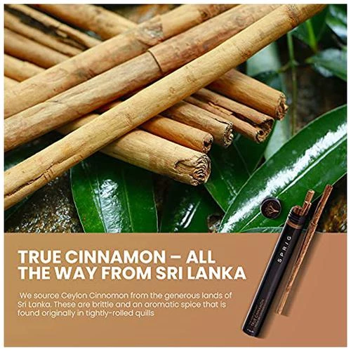 Sprig True Cinnamon - Sri Lankan - Image 5