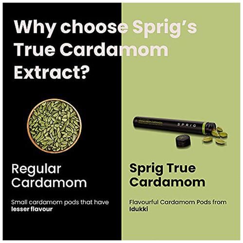 Sprig Whole Green Cardamom - The World's Finest - Image 2