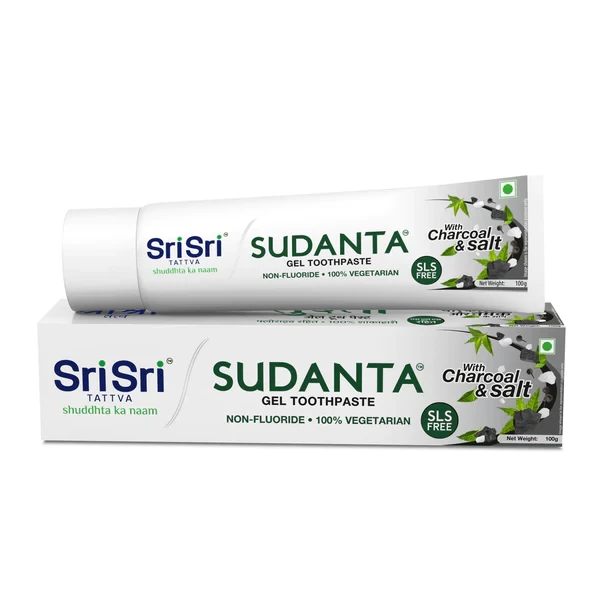 SRI SRI Tattva Sudanta Minty Saunf Gel