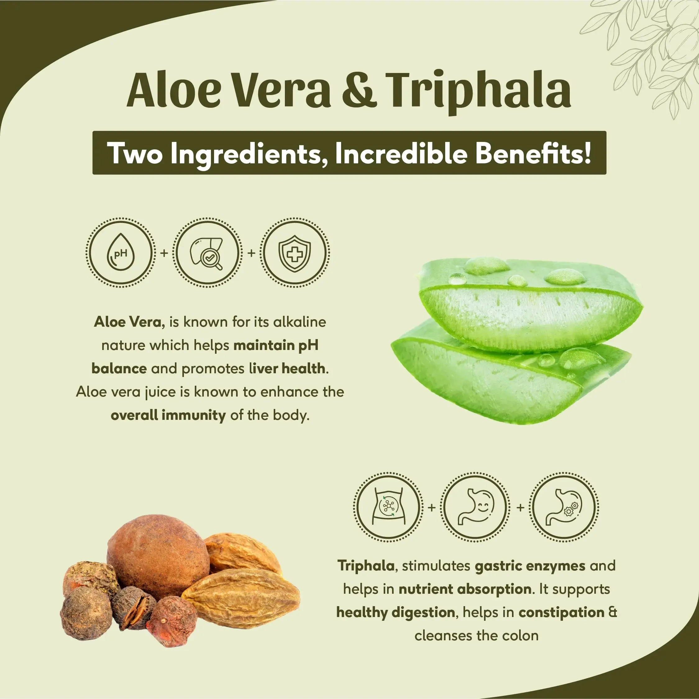Sri Sri Tattva Aloe Vera Triphala Juice - Image 4