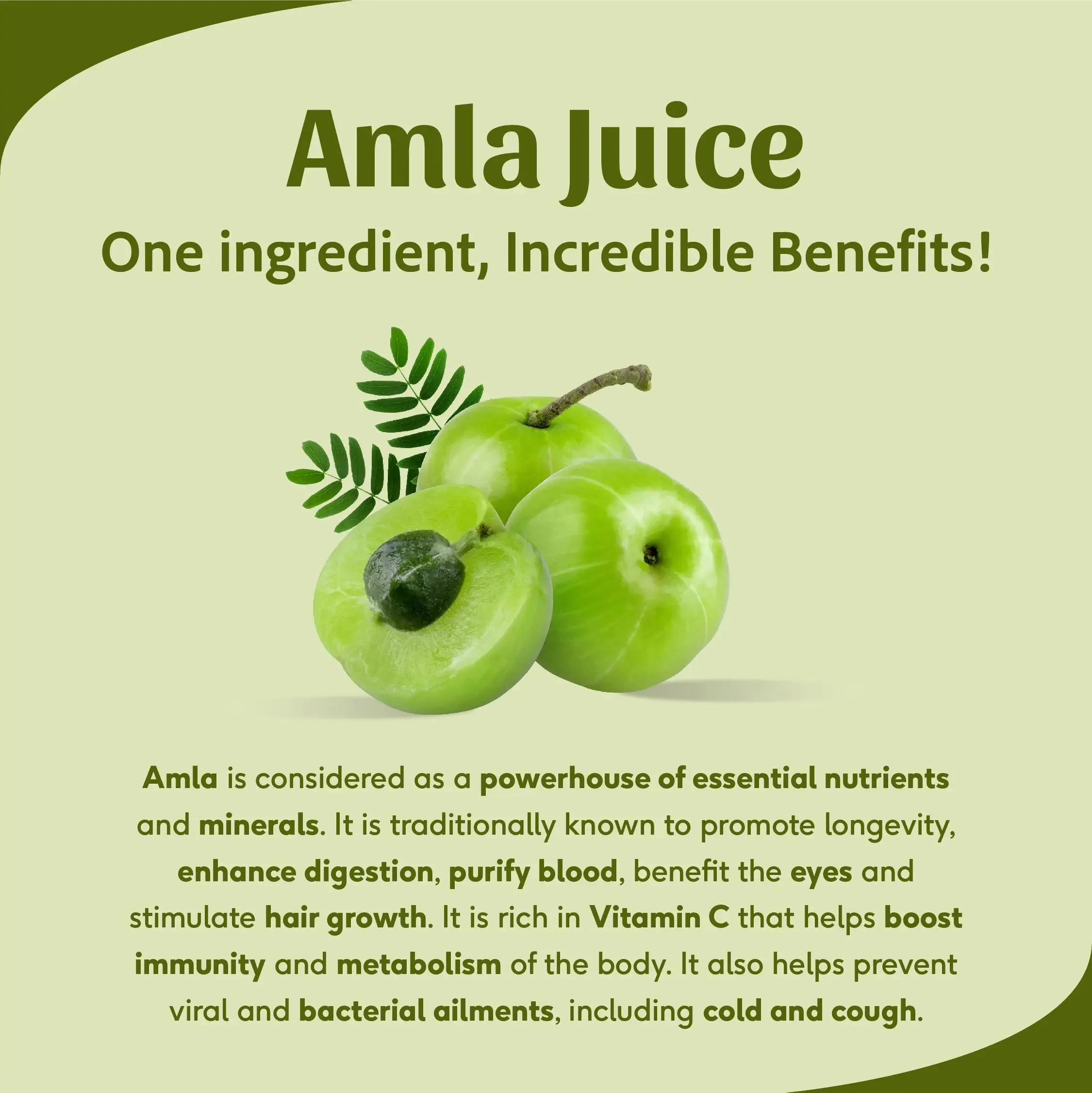 Sri Sri Tattva Amla Juice - Image 4