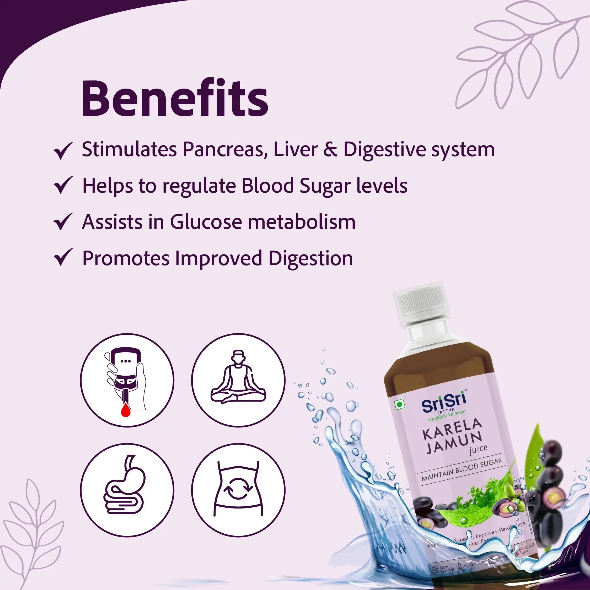 Sri Sri Tattva Karela Jamun Juice - Image 3