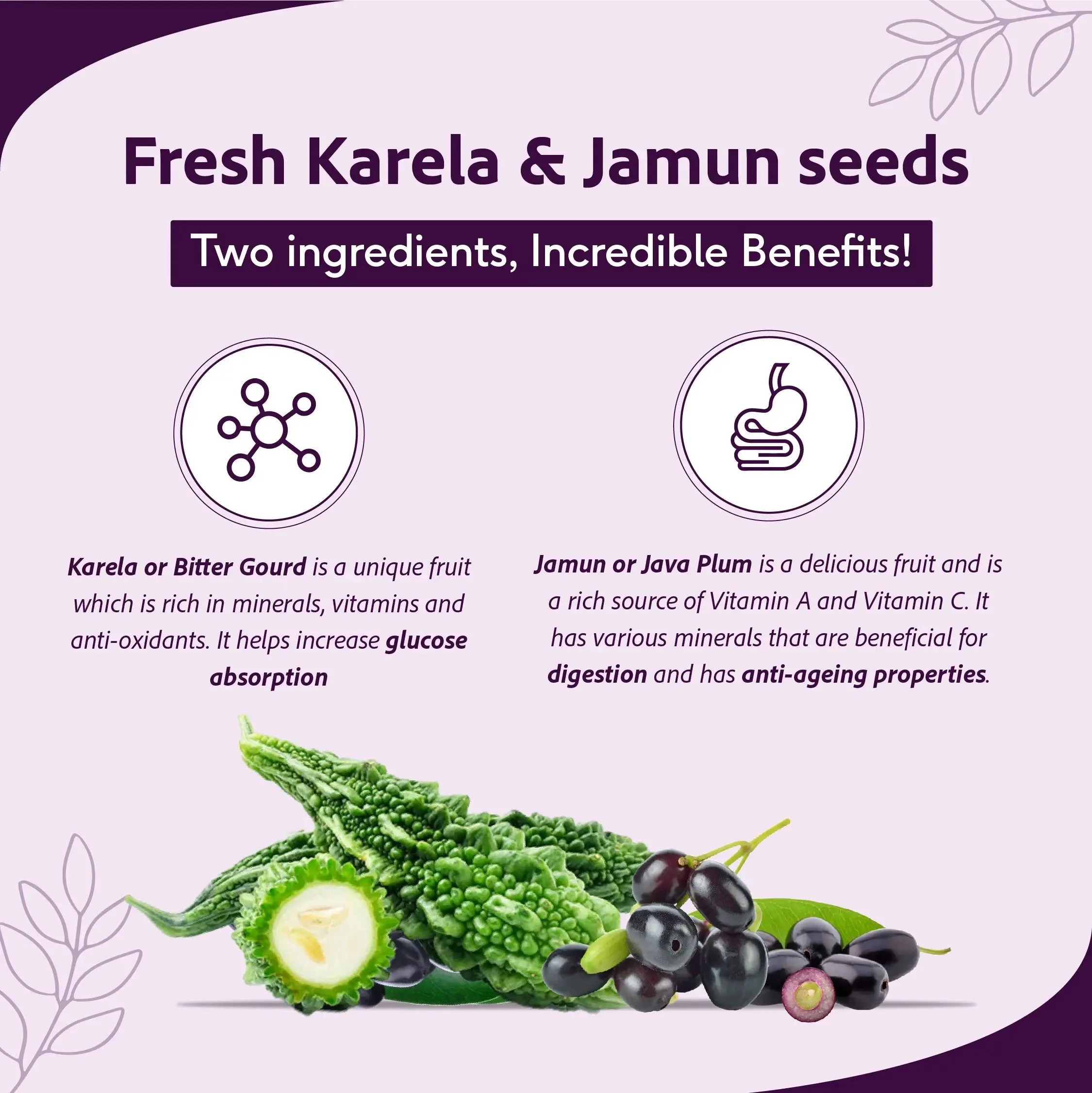 Sri Sri Tattva Karela Jamun Juice - Image 4