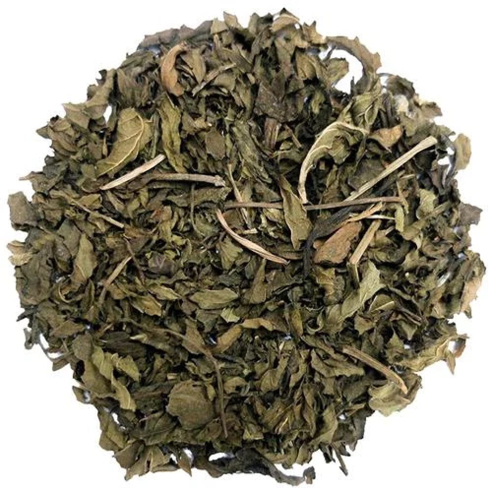 TGL Co. Miracle Mint Tea - Image 7