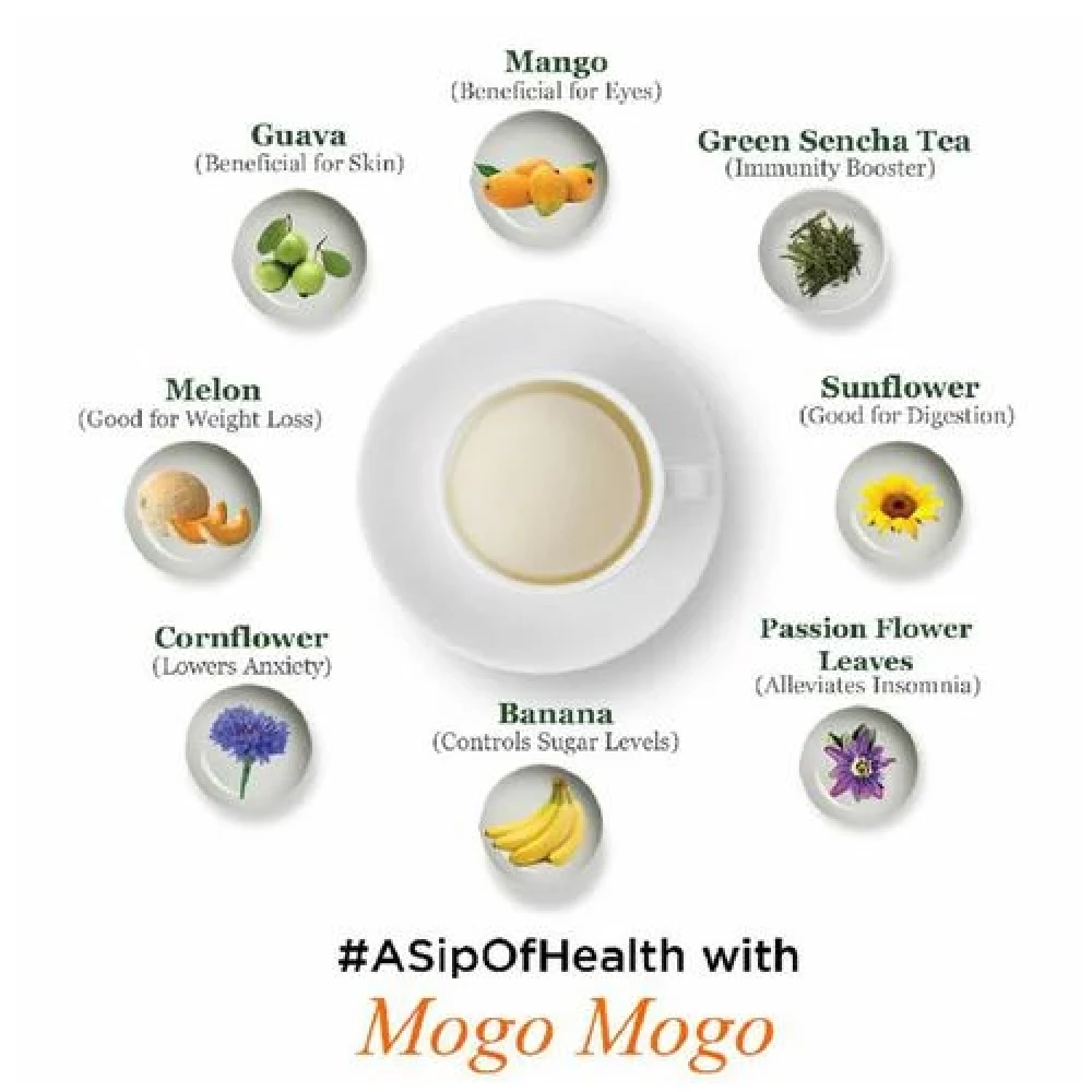 TGL Co. Mogo Mogo Green Tea Bags Make Brew Iced Tea or Hot Tea - Image 6
