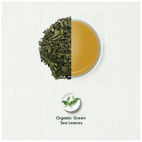 TGL Co. Organic Green Tea Bag - Image 8