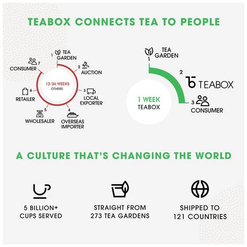 Teabox Mint Green Tea Bags - Whole Leaf & Natural Flavour Blend - Image 8
