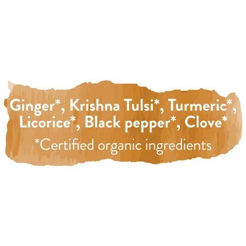 Teamonk Turmeric Ginger Herbal Infusion - Image 4