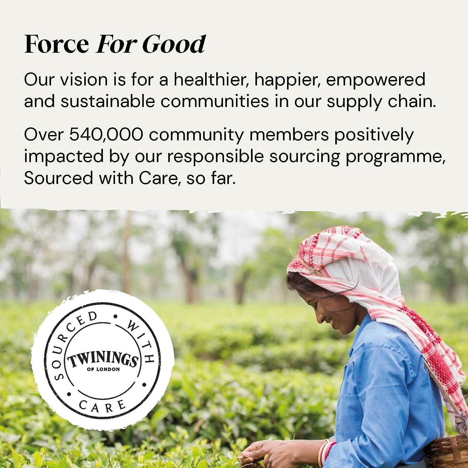 Twinings Earl Grey Tea - Image 6