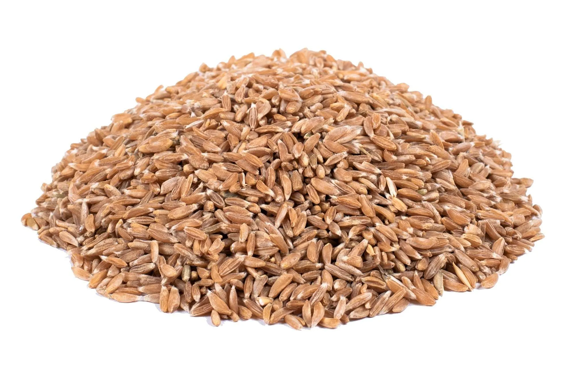 Two Brothers Khapli Wheat Grains (Emmer Wheat Grain) - Image 2