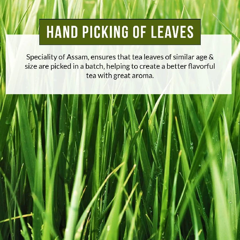 Vanalaya Lemongrass Loose Leaves Green Tea - Image 6