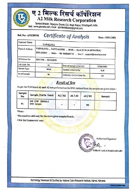 Vanalaya Organic A2 Desi Gir Cow Ghee  - Image 5