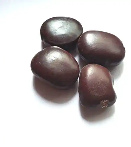 Vinarghya WildVital Mountain Tamarind Seeds - Image 2