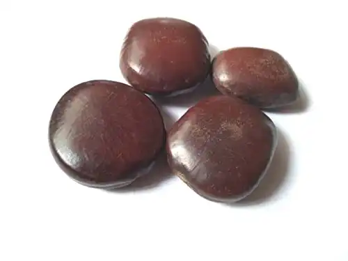 Vinarghya WildVital Mountain Tamarind Seeds - Image 3