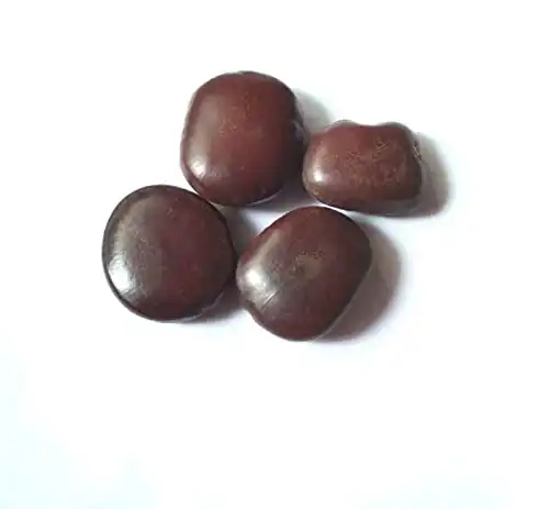 Vinarghya WildVital Mountain Tamarind Seeds - Image 4