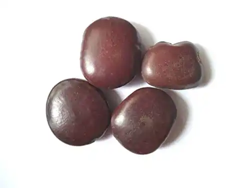 Vinarghya WildVital Mountain Tamarind Seeds - Image 5
