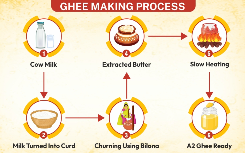 a2-ghee-making-process