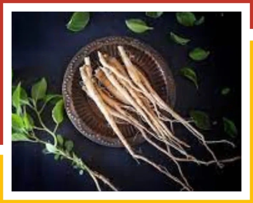 Ashwagandha tonic and lehyam