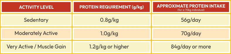 Best Protein Supplement Chart