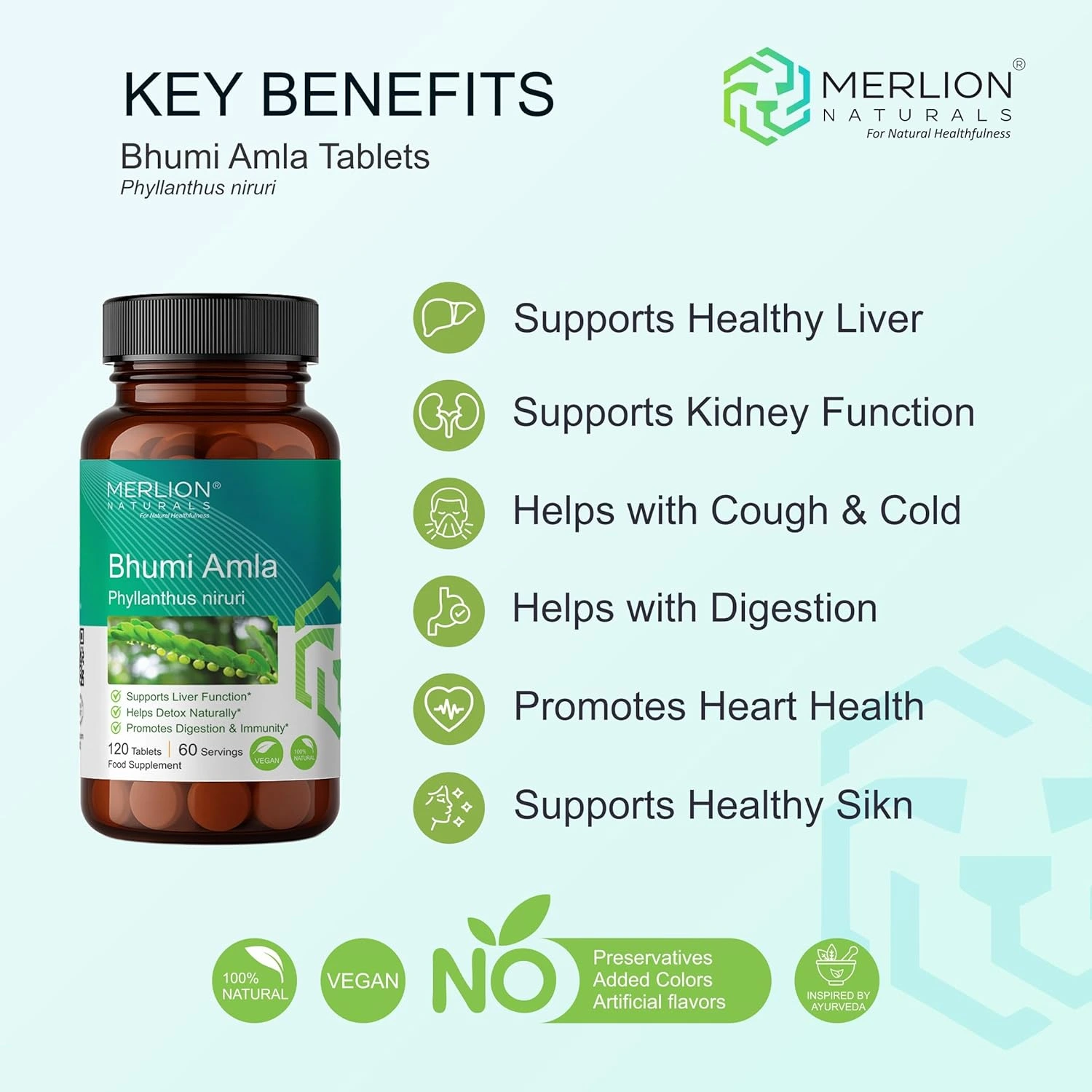 Merlion Naturals Bhumi Amla Tablets Phyllanthus niruri 500mg - Image 3