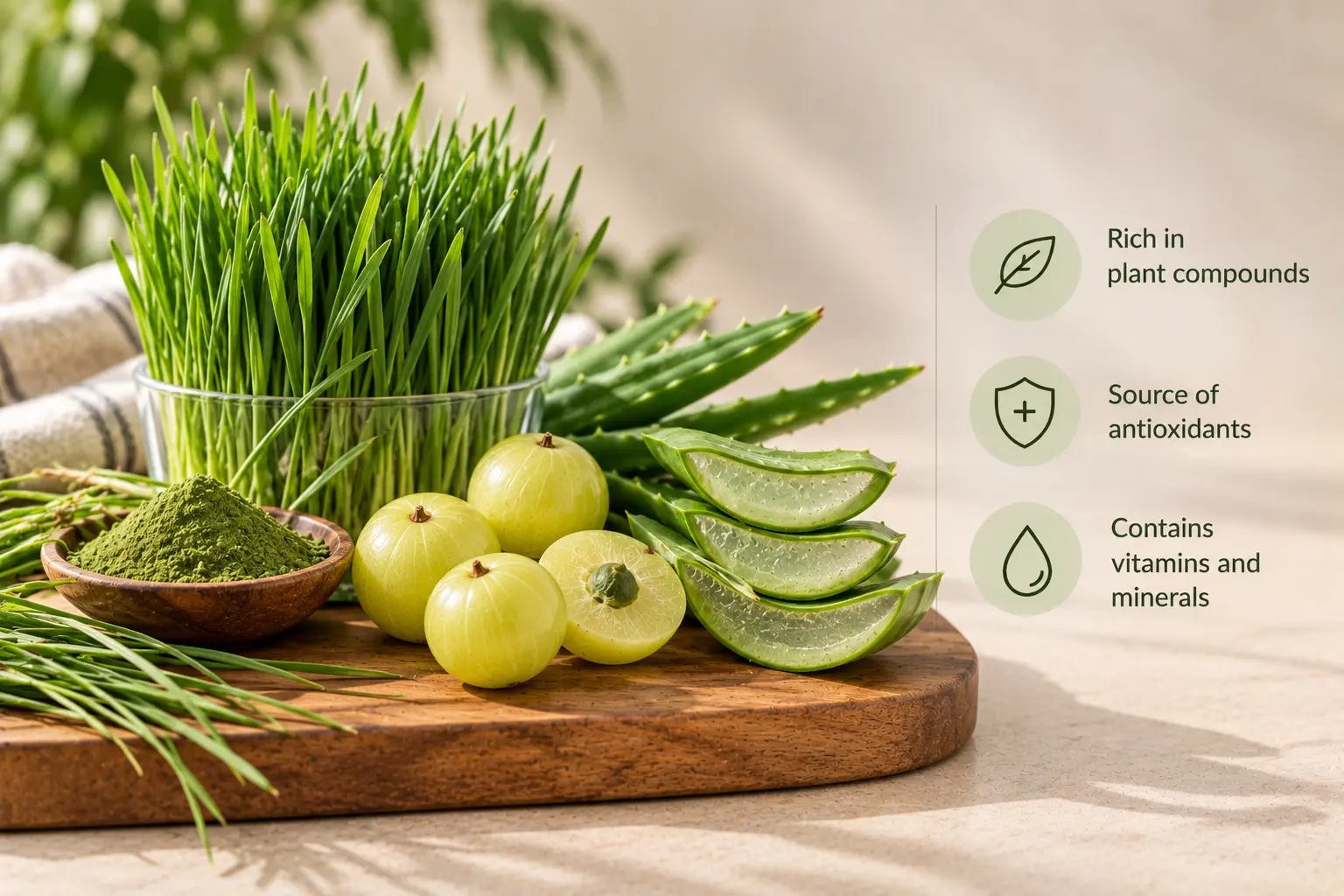Benefits of wheatgrass, amla, and aloe vera, including antioxidants, vitamins, and plant compounds