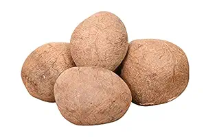 dry_coconut.webp