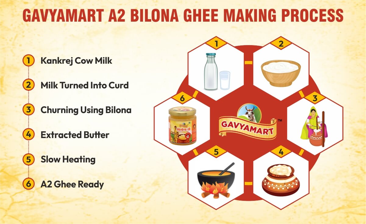 Gavyamart bilona ghee making process