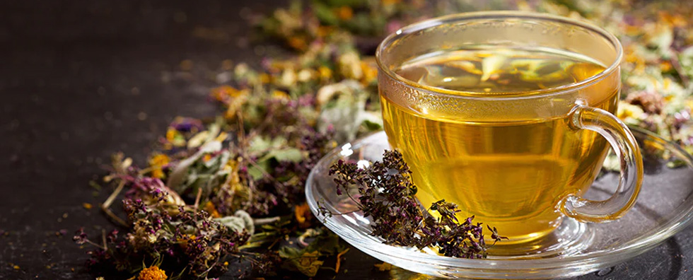 Green Tea Chronicles: Nourishing the Body, Energizing the Spirit