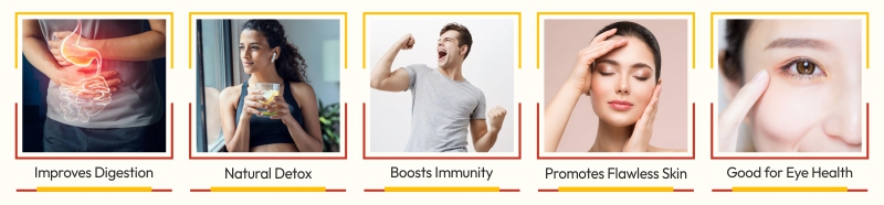 Health Benefits of Triphala