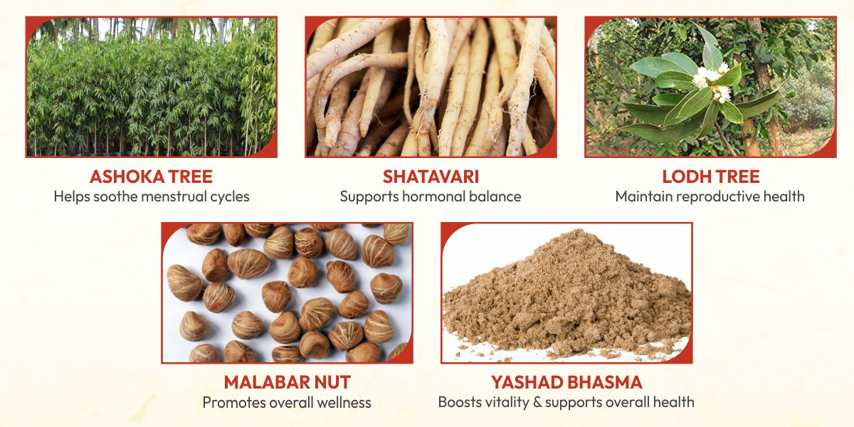 Himalaya evecare capsules ingredients