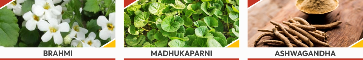 Ingredients in Himalaya Herbals Mentat Tablets