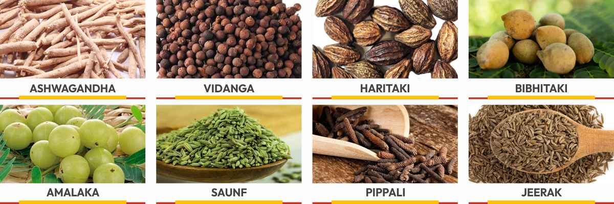 Ingredients planet ayurveda weight gain formula capsules