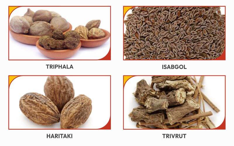 ingredients-used-in-ayurvedic-medicines-for-constipation