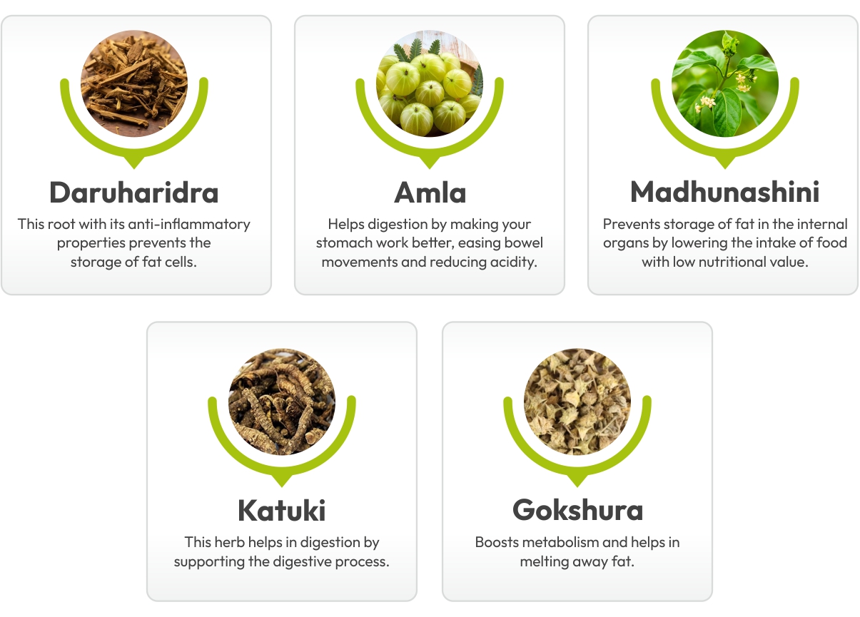 key-ingredients-of-kapiva-get-slim-juice