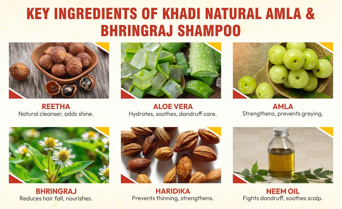 Key ingredients of khadi natural amla and bhringraj shampoo