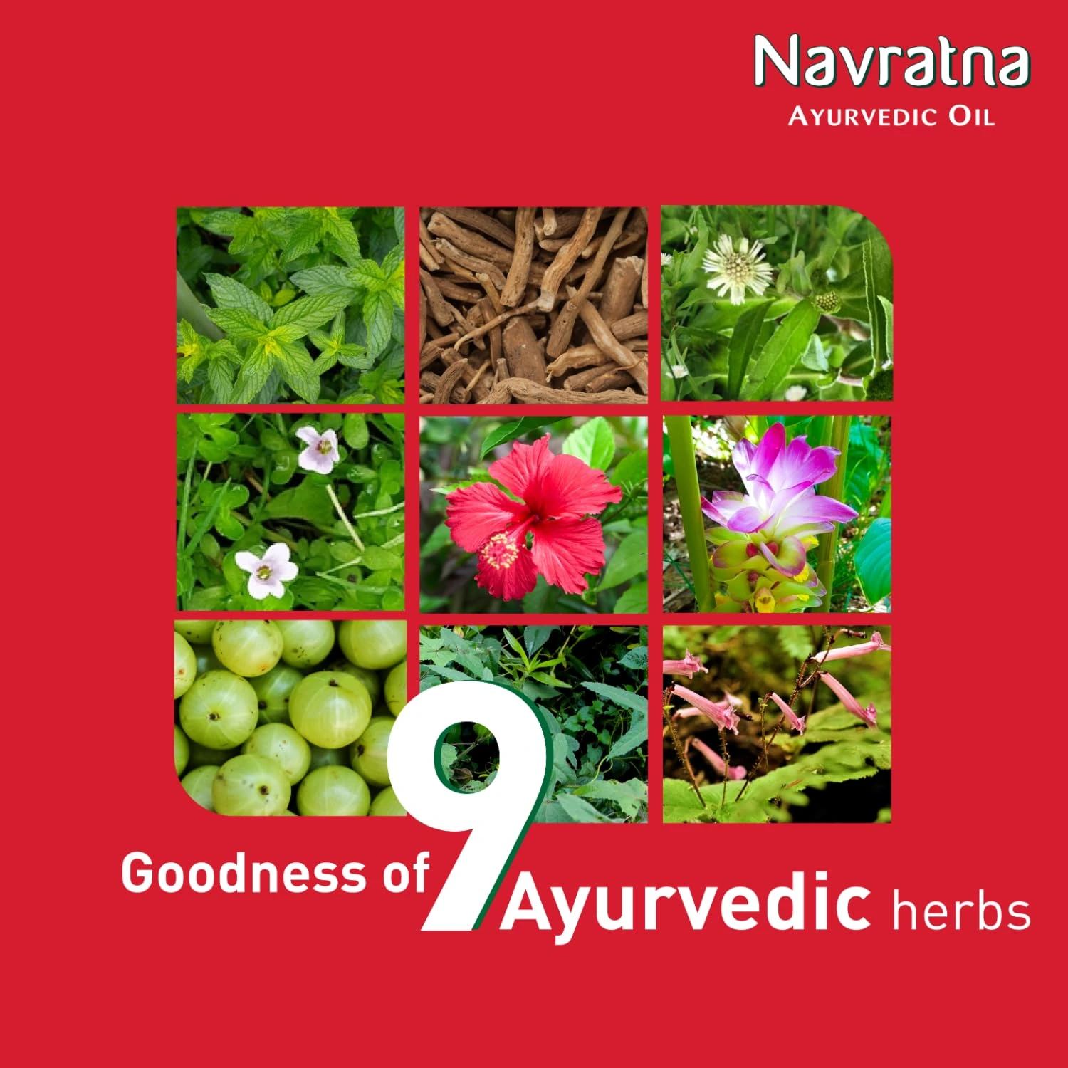 Navratna Ayurvedic Cool Oil - Image 5
