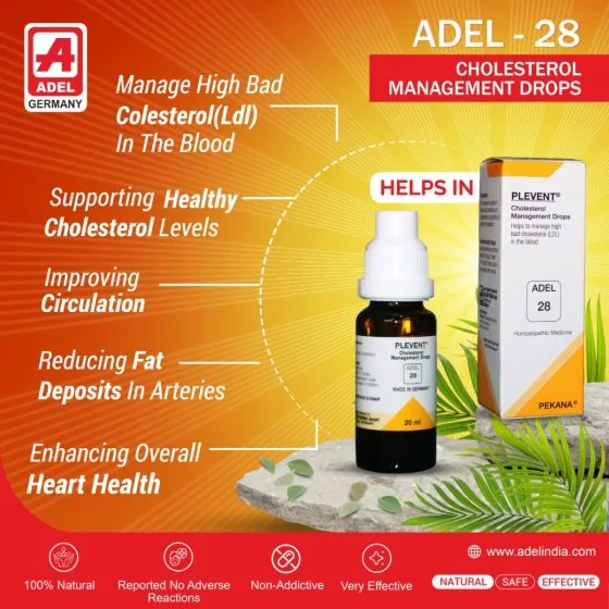 Adel 28 Plevent Drops | Homeopathic Lipid Metabolism Supplement | Natural Cholesterol and Detox Support-2