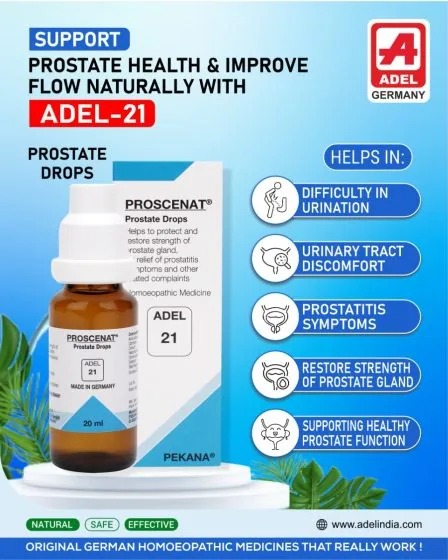 Adel Homeopathy 21 Proscenat Drop | Homeopathic Prostate Care | Natural Urinary Support-3