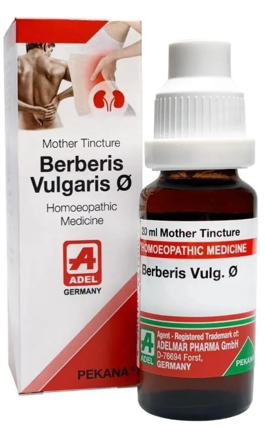 Adel Homeopathy Berberis Vulg Mother Tincture Q