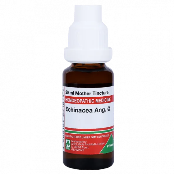 Adel Homeopathy Echinacea Mother Tincture Q