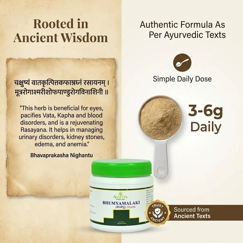 Agatsya Bhumyamalaki Churna | Pure Bhumi Amla Powder | Ayurvedic Liver and Digestive Support-3