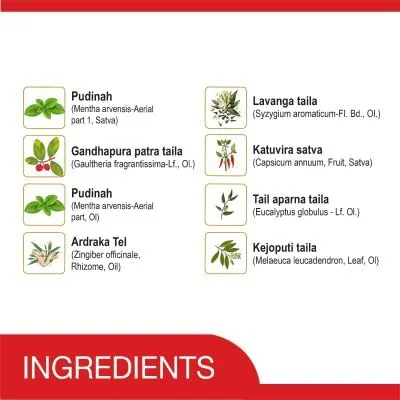 Amrutanjan Maha Strong Pain Balm Red | Ayurvedic Relief | Hot Action Formula-2
