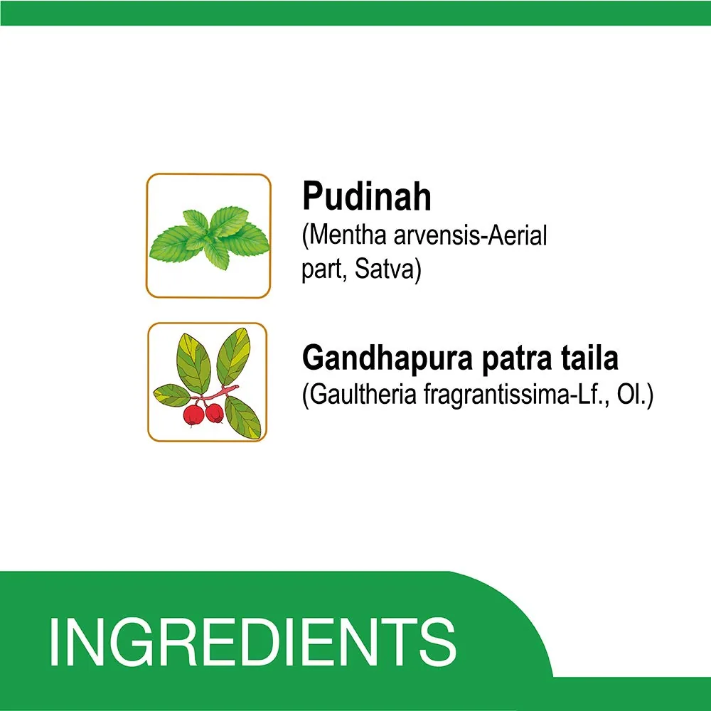 Amrutanjan Double Power Strong Pain Balm | Ayurvedic Relief | Fast-Acting Headache & Body Pain Formula-2