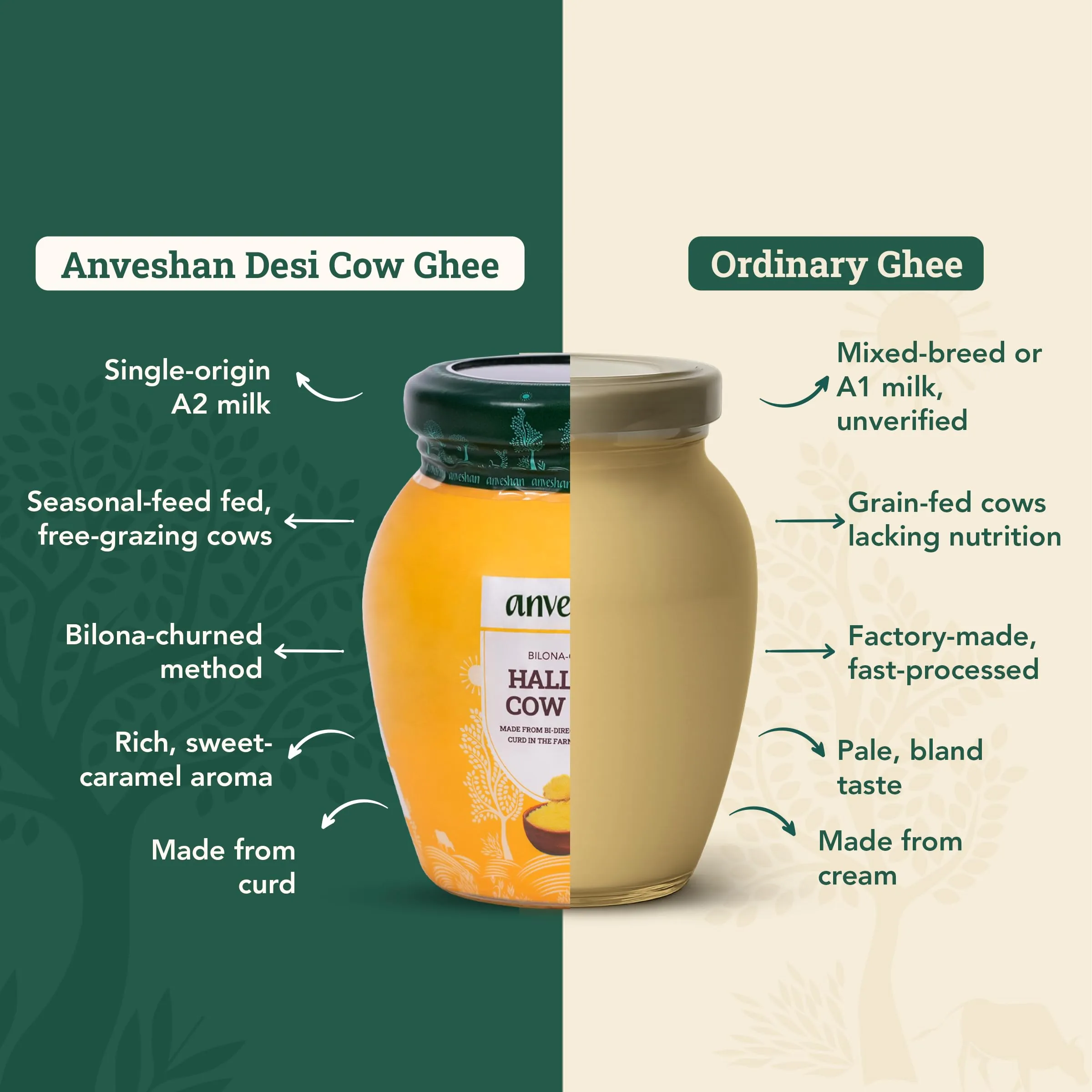 Anveshan A2 Desi Cow Ghee | Traditionally Bilona-Churned | Aromatic & Danedar-4