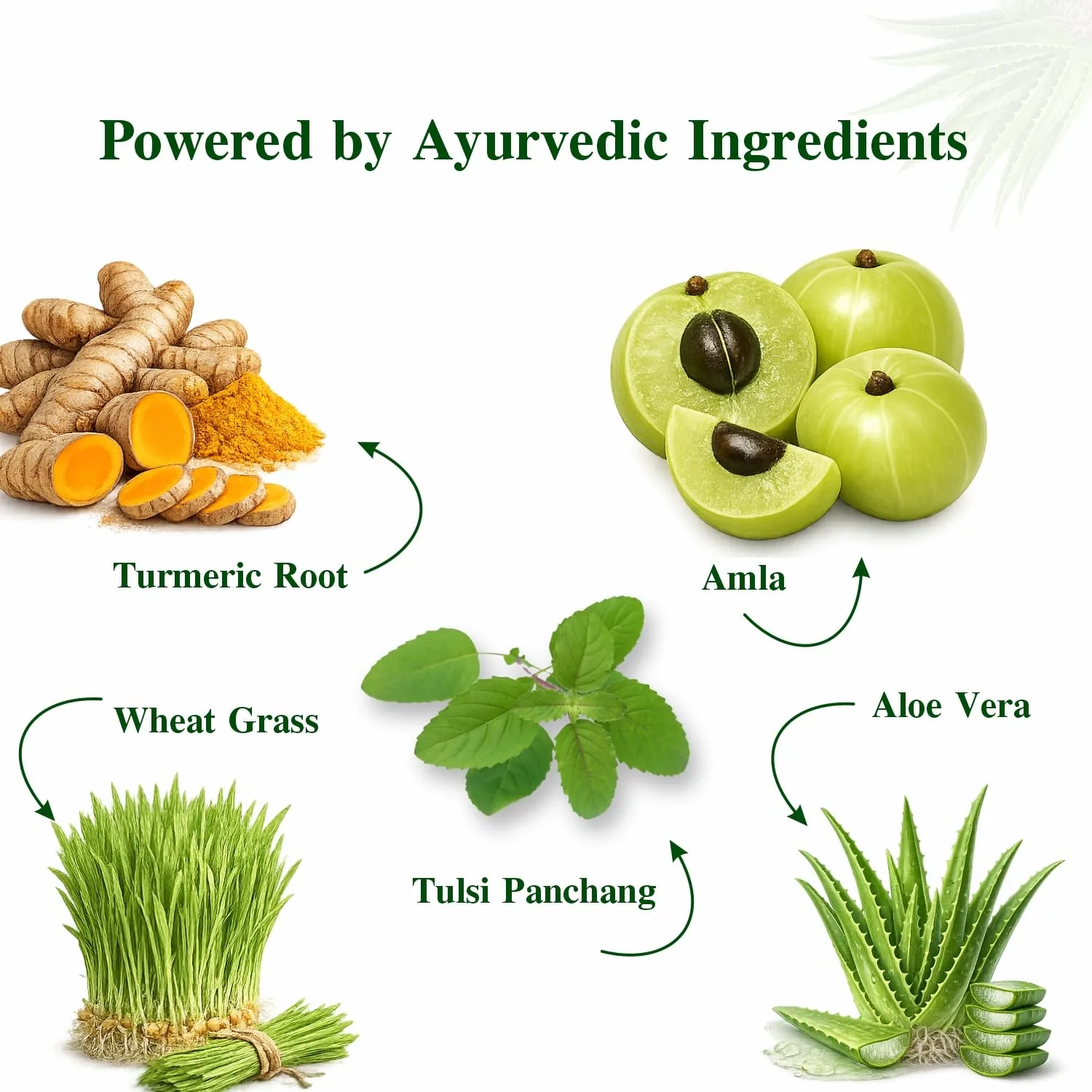 Axiom Amla Juice | Cold-Pressed Ayurvedic Wild Gooseberry Swaras | Natural Vitamin C & Immunity Support-4