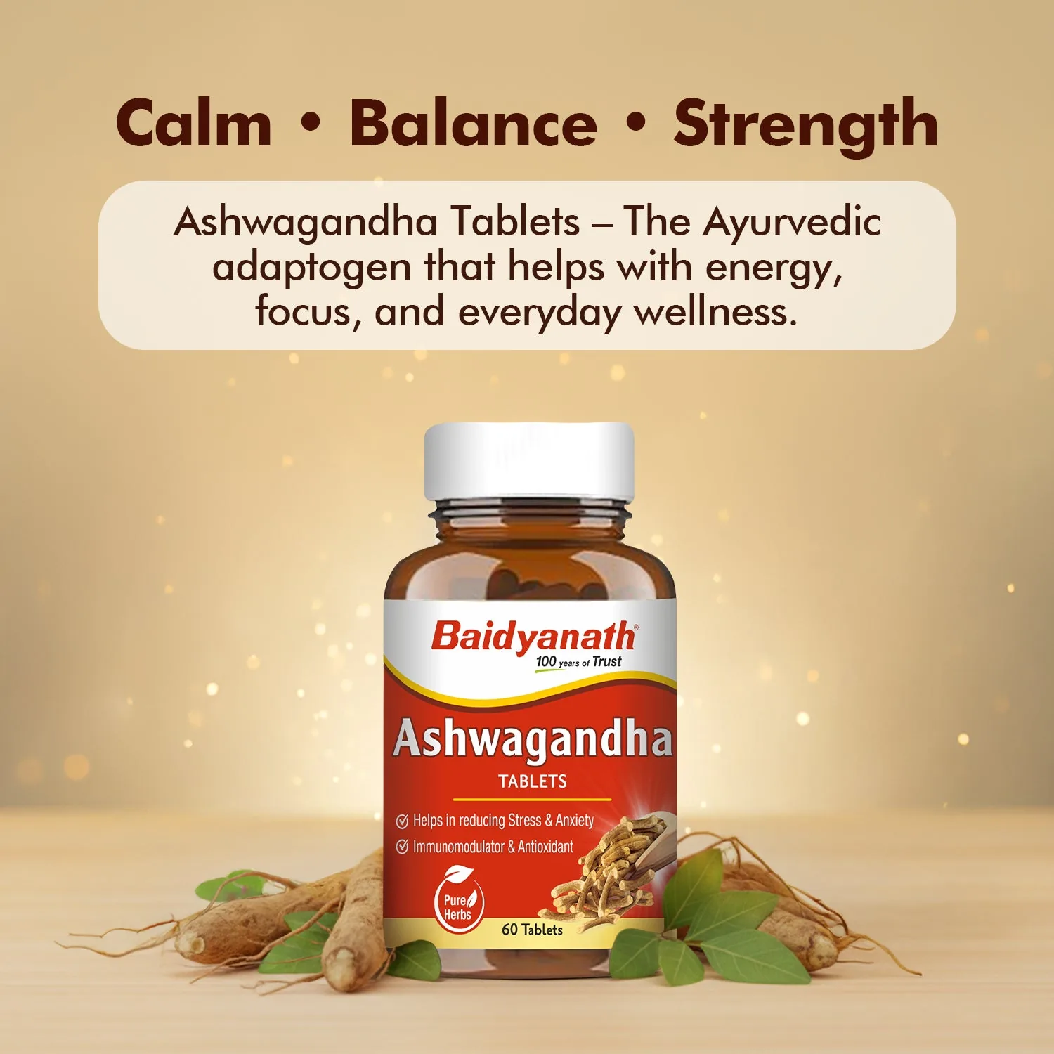 Baidyanath Ashwagandha Tablet | Ayurvedic Adaptogen for Stress Relief & Vitality-5
