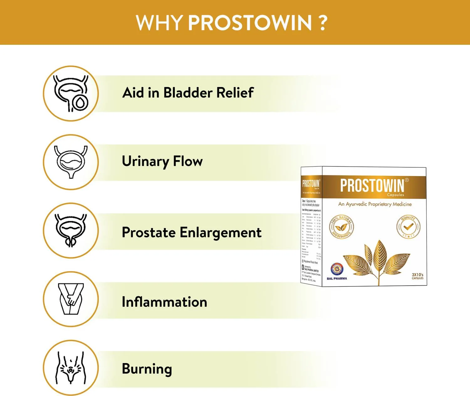 Bal Vedics Prostowin Capsules | Ayurvedic Prostate Care | Urinary Flow and Bladder Support-5