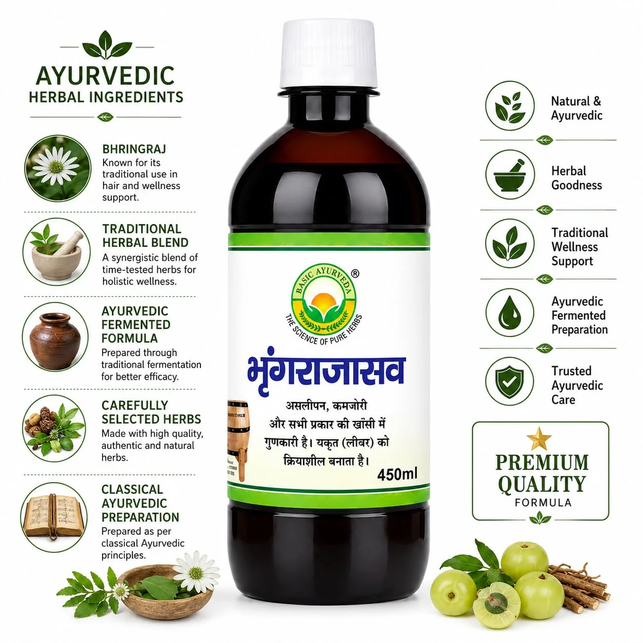 Basic Ayurveda Bhringarajasava | Traditional Herbal Tonic | Hair & Liver Support-2