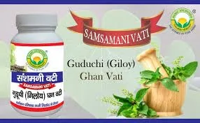 Basic Ayurveda Guduchi (Giloy) Ghan Vati | Samsamani Vati | Natural Immunity & Detox Support-2
